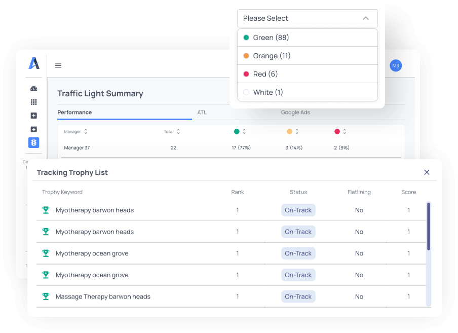 View of auto traffic lights and keyword rankings dashboard summary